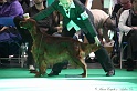 Crufts2011 663